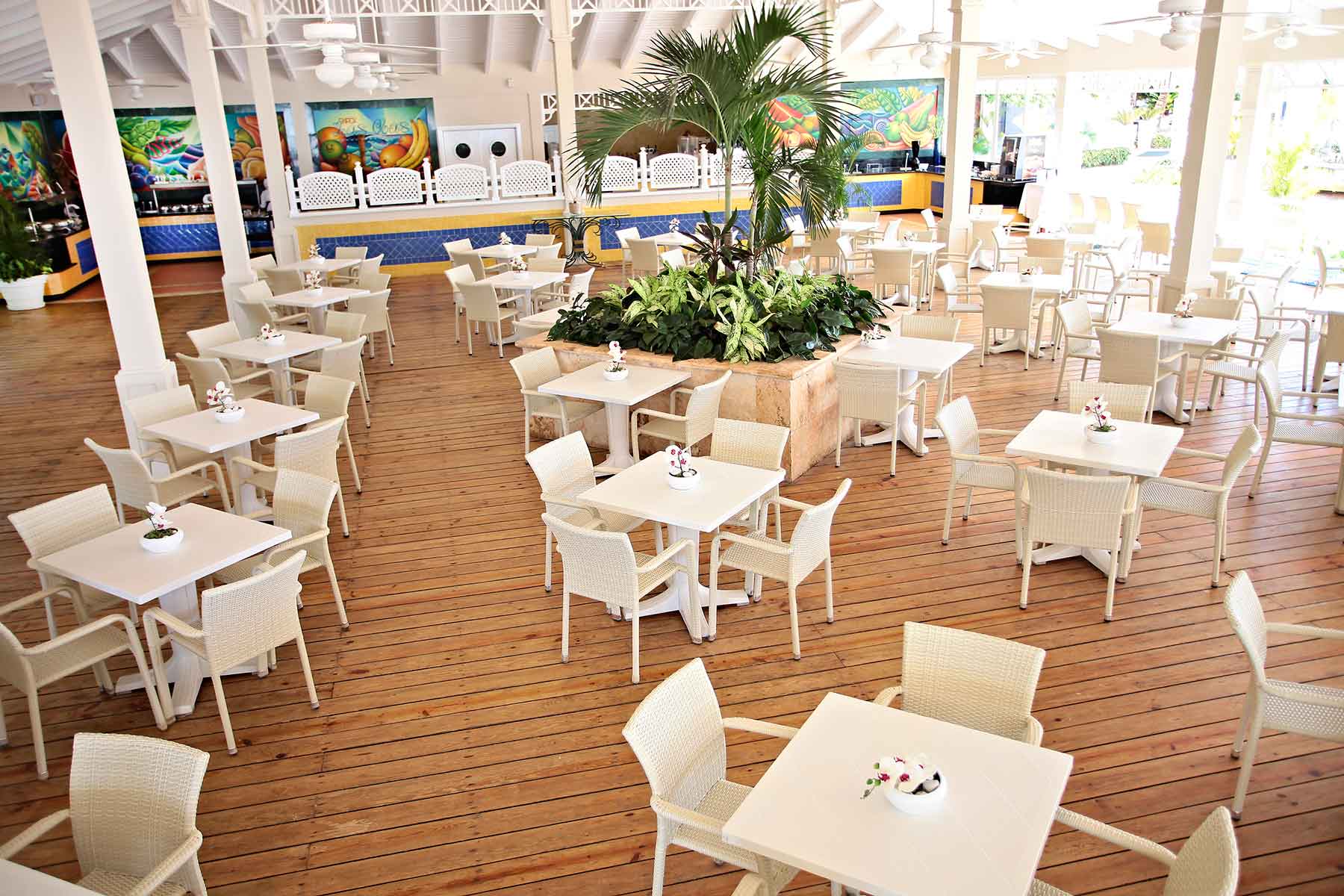 Gastronomy  at Grand Bahia Principe La Romana