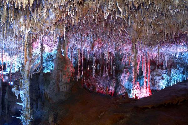 Things to do in Mallorca 4