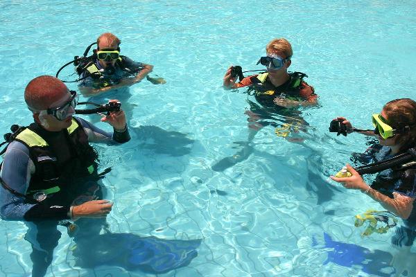 Acuatic Activities at Luxury Bahia Principe Fantasia 1